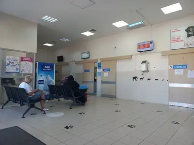 OMÜ Hayvan Hastanesi