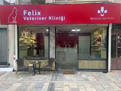 Felix Veteriner Kliniği