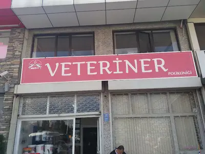 Sinerjivet Veteriner