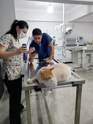 Şehr-i Pati Veteriner Kliniği