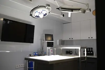Alsancak Veteriner Kliniği fotoğrafı
