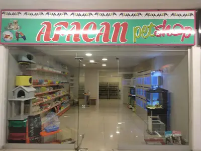 Siirt Afacan Petshop akvaryum Anderapark AVM