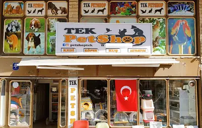 Pursaklar TekPetshop