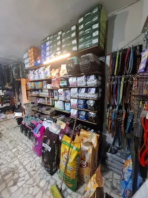 Rastgele Av Outdoor Aydınlık | Avcılık | Petshop | Arıcılık | Askeri Malzeme | fotoğrafı