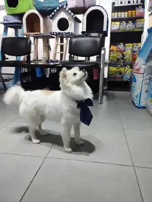 Tem Petshop Gaziosmanpaşa