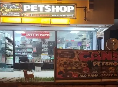 Aslan Petshop