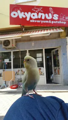 Uşak Okyanus Pet/Akvaryum