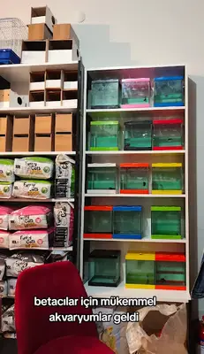 Planet petshop