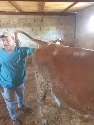 Hilvan Veteriner Kliniği