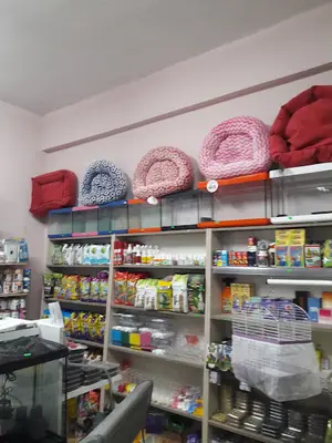 afra kus ve balık evi