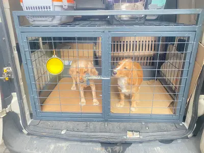sempati pet taksi