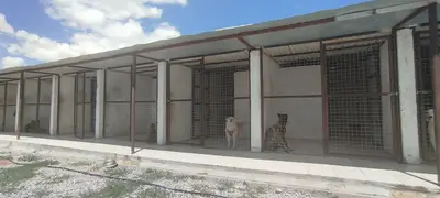 Kayseri Köpek Akademisi