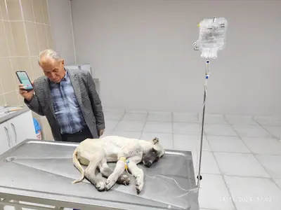 Taşpınar Veteriner Kliniği