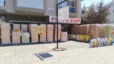 PİNA PET SHOP DİKİLİ