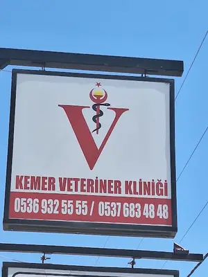 EFE VETERİNER KLİNİĞİ