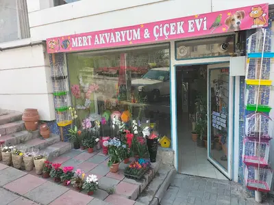 Mert Akvaryum Çiçek Evi Petshop