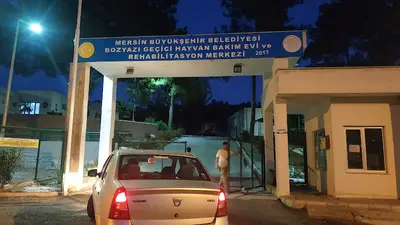 Bozyazı hayvan rehabilitasyon ve geçici bakım evi fotoğrafı