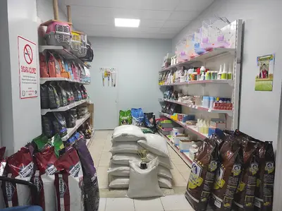 Efe Veteriner Kliniği
