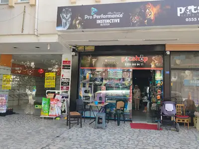 Bugsy Pet Shop