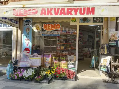Nemo Akvaryum
