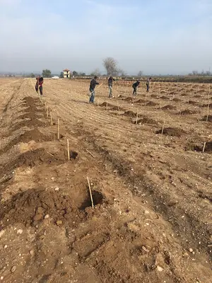 Fahri DİNÇ HAYVANCILIK OTOMOTİV