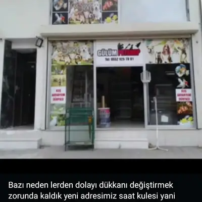 Gülüm petshop