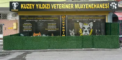Kuzey Yıldızı Veteriner Muayenehanesi
