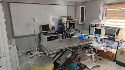 Duygu Veteriner