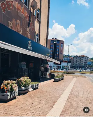 Aquarium Shop