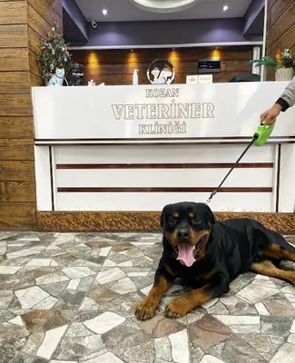 KOZAN VETERİNER KLİNİĞİ