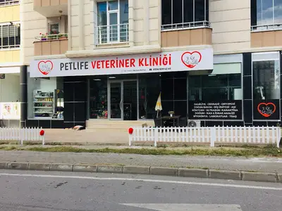 Petlife Veteriner Kliniği