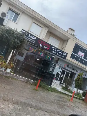 Çeşme Pet Shop Pet Kuaför Pet Otel Köpek Eğitimi