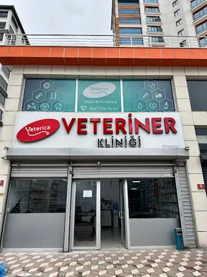 Veterica Güneşevler Veteriner Klinigi fotoğrafı