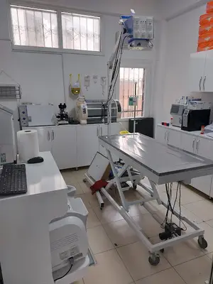 Bambam Veteriner Kliniği