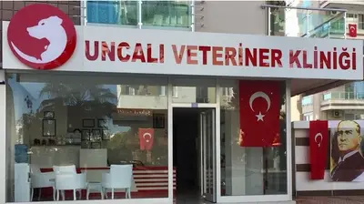 Pozitif Veteriner Kliniği fotoğrafı