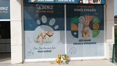 TUNCELİ VETERİNER KLİNİĞİ