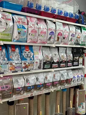 İzpetshop fotoğrafı