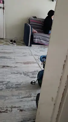 El yapımı köpek tasması