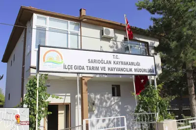 Sarıoğlan Veteriner