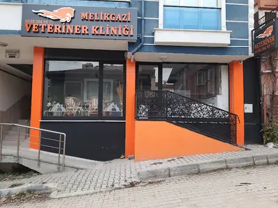 Araç Veteriner Kliniği
