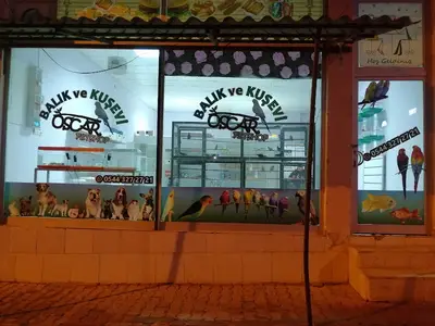 MİRA Petshop&Akvaryum