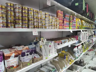 Ilginsu Akvaryum