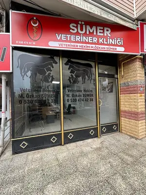 Sümer Veteriner Kliniği
