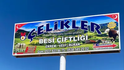 Veteriner Hekim Ayşe Çelik