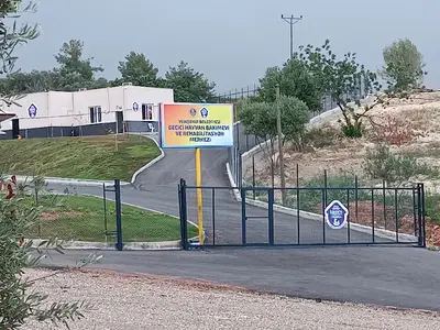 Yenişehir Belediyesi Geçici Hayvan Bakımevi ve Rehabilitasyon Merkezi fotoğrafı