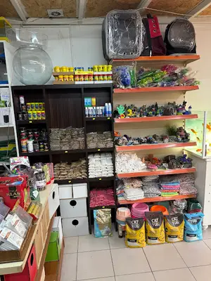 Minik Patiler Petshop