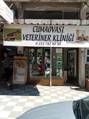 menderes cumaovasi veteriner klinigi