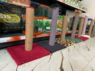 Pet House (Pet Shop)