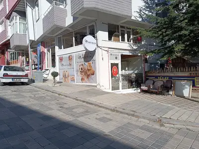 GÜNDÜZLER VETERİNER