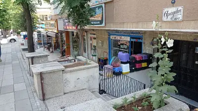 Petshop Kavaklık